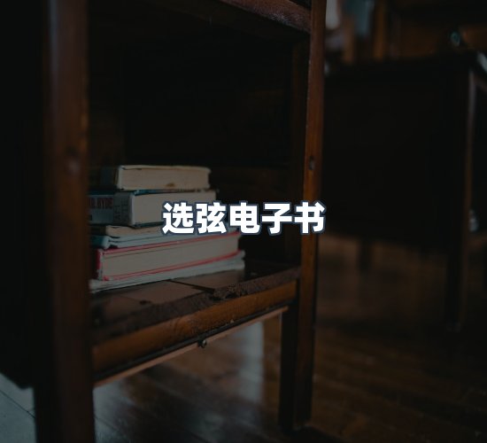 关于选弦电子书